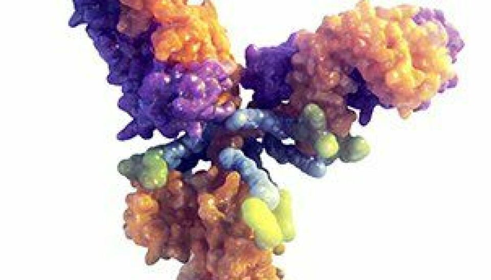 Enhertu (Trastuzumab deruxtecan) er et designet HER2-rettet antistoff-legemiddelkonjugat. På hvert antistoff (trastuzumab) finnes det i gjennomsnitt 8 cellegiftmolekyler (deruxtecan), som her er vist som gule prikker.