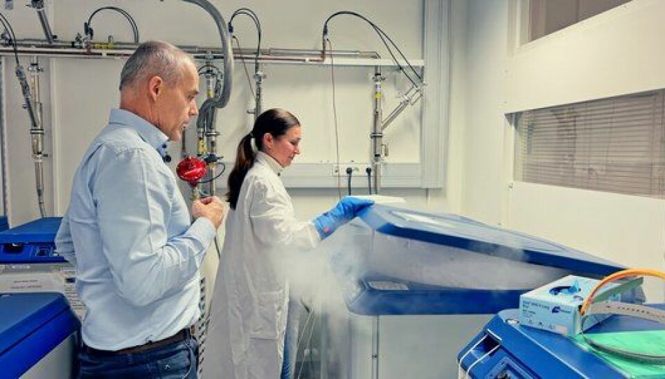 Fra en tank med flytende nitrogen henter Sigrid Skånland ut et lite plastrør med kreftcellene. Kreftcellene lever, men holder 194 kuldegrader og skal nå tines opp til 37 grader.
        
      
      
        Foto: HealthTalk