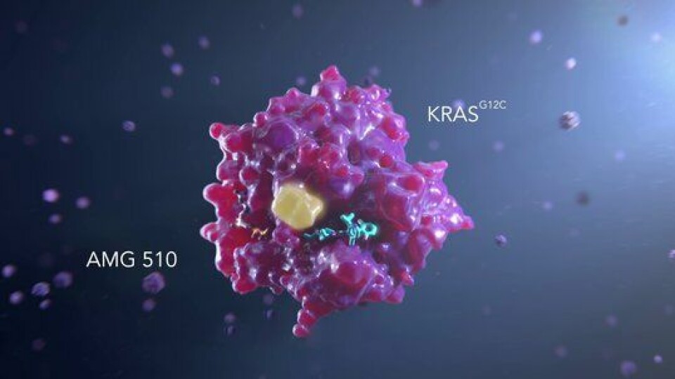 Et modell av KRAS-proteinet som viser Lumykras-molekylet (blått) i bindingslommen til proteinet. Den gule regionen viser hvor legemidlet fester seg til KRAS-proteinet