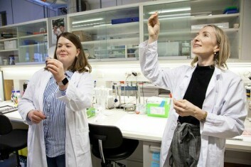 PhD-stipendiat Camille Ekanger (tv) og cellebiolog og forsker Agnete Engelsen.
        
      
      
        Foto: Eddy Grønset
