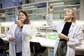 PhD-stipendiat Camille Ekanger (tv) og cellebiolog og forsker Agnete Engelsen.
Foto: Eddy Grønset PhD-stipendiat Camille Ekanger (tv) og cellebiolog og forsker Agnete Engelsen.
Foto: Eddy Grønset