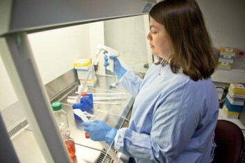 PhD-stipendiat Camille Ekanger bearbeider kreftcellene..
Foto: Eddy Grønset PhD-stipendiat Camille Ekanger bearbeider kreftcellene..
Foto: Eddy Grønset