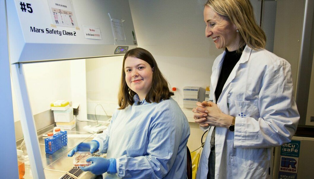PhD-stipendiat Camille Ekanger (tv) og cellebiolog og forsker Agnete Engelsen dyrker kreftceller i autentisk lungevev. Slik kan de teste ut medisiner mot lungekreft i laboratoriet.