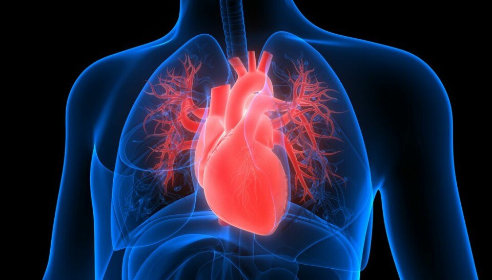 Ny studie viser at ved å endre livsstil og optimalisere medisineringen etter et hjerteinfarkt kan risikoen for en ny kardiovaskulær hendelse halveres.