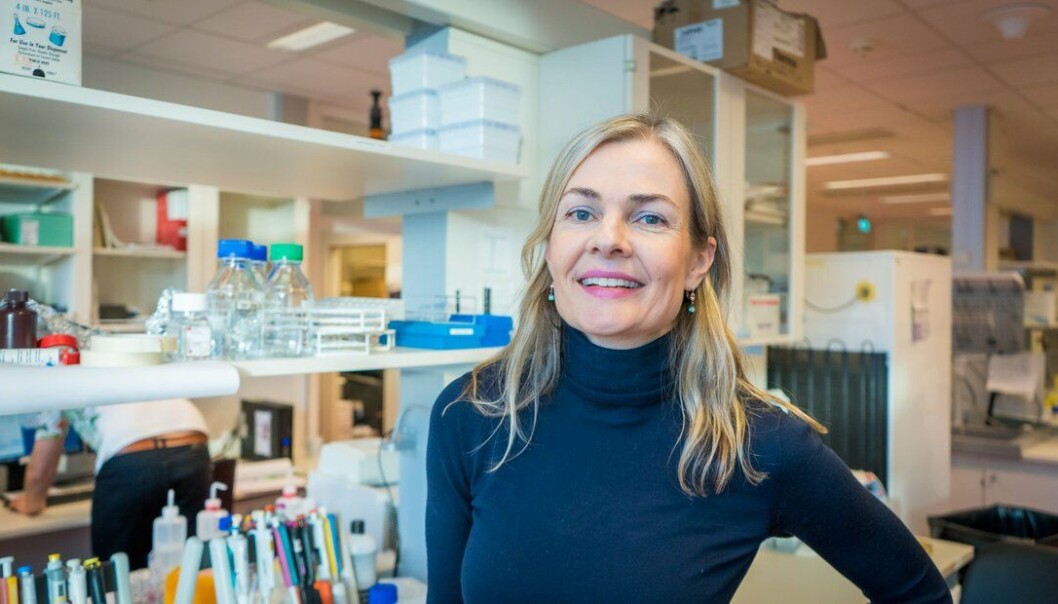 Stipend fra Novo Nordisk Fondet: Pengene skal blant annet brukes til å utvikle en forretningsplan, sier Olweus til HealthTalk. Stipend fra Novo Nordisk Fondet: Pengene skal blant annet brukes til å utvikle en forretningsplan, sier Olweus til HealthTalk.