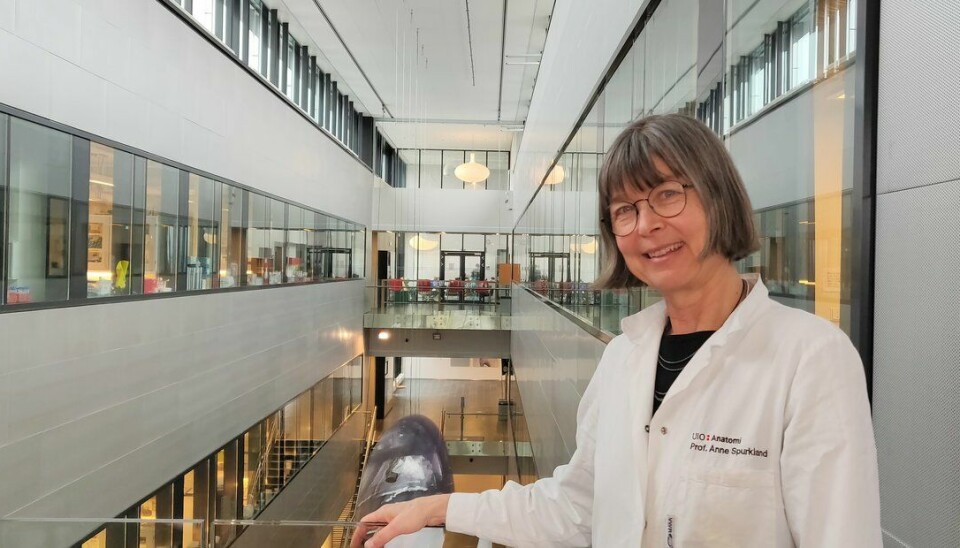 Professor Anne Spurkland vinner Forskningsrådets formidlingspris 2021.