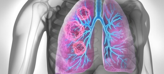 Trippelbehandlingen Opdivo, Yervoy og kjemoterapi mot ikke-småcellet lungekreft blir snart godkjent i Europa og Norge