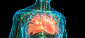 Dansk registerstudie: Over halvparten av pasientene med hjertesvikt utviklet hjerteflimmer
