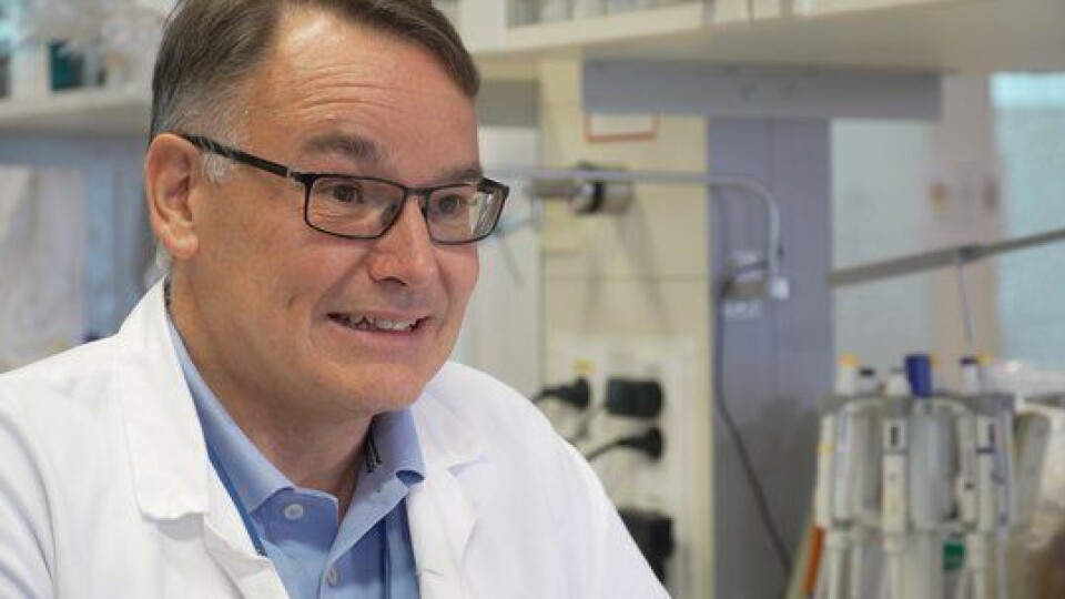 MSK-studien viser at å frigjøre glukose til immunceller har en dobbelt gunstig effekt for å øke effekten på immunterapibehandlingen. Mer tilgjengelig glukose øker effektor-T-cellers evne til å drepe kreftcellene. Men for de regulatoriske T-cellene betyr mer glukose at de mister evnen til å bremse, sier professor Kjetil Taskén.
Foto: Radiumhospitalets legater MSK-studien viser at å frigjøre glukose til immunceller har en dobbelt gunstig effekt for å øke effekten på immunterapibehandlingen. Mer tilgjengelig glukose øker effektor-T-cellers evne til å drepe kreftcellene. Men for de regulatoriske T-cellene betyr mer glukose at de mister evnen til å bremse, sier professor Kjetil Taskén.
Foto: Radiumhospitalets legater
