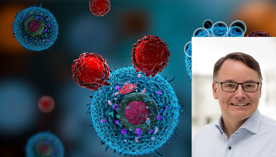 Forskere ved Memorial Sloan Kettering Cancer Center har undersøkt hva som skjer dersom kreftceller og immunceller må kjempe om den samme sukkertilgangen. De fant at jo mer sukker svulsten konsumerte, jo mindre effektiv var immunterapien. - Dette er en svært nyttig studie som har relevans for forskning som vi gjør på Institutt for kreftforskning, sier professor Kjetil Taskén. Illustrasjonen viser T-celler som angriper en kreftcelle. Forskere ved Memorial Sloan Kettering Cancer Center har undersøkt hva som skjer dersom kreftceller og immunceller må kjempe om den samme sukkertilgangen. De fant at jo mer sukker svulsten konsumerte, jo mindre effektiv var immunterapien. - Dette er en svært nyttig studie som har relevans for forskning som vi gjør på Institutt for kreftforskning, sier professor Kjetil Taskén. Illustrasjonen viser T-celler som angriper en kreftcelle.