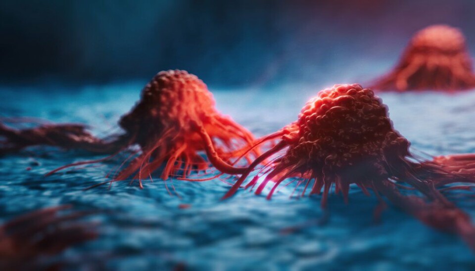 Rapporten viser en markert nedgang i antall kreftdiagnoser i 2020 sammenlignet med tilsvarende perioder i 2019.