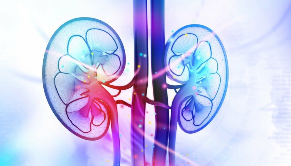 Bayer utvider det kliniske studieprogrammet for Kerendia (finerenon) med fase 3-studien FIND-CKD. Den skal undersøke effekten av legemidlet på nyre, hjerte og blodkar hos pasienter med kronisk nyresykdom uten diabetes.