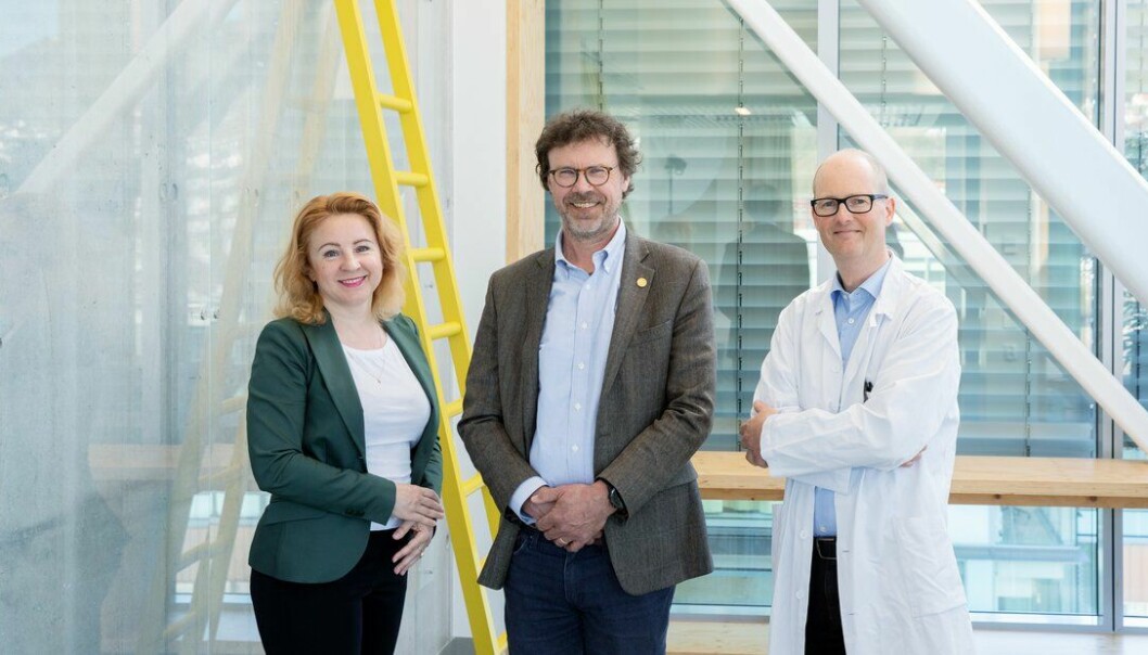 Senterledelsen ved PRESIS-DIA: professor Valeriya Lyssenko, professor Pål R. Njølstad og professor Gunnar Mellgren ved Universitetet i Bergen.