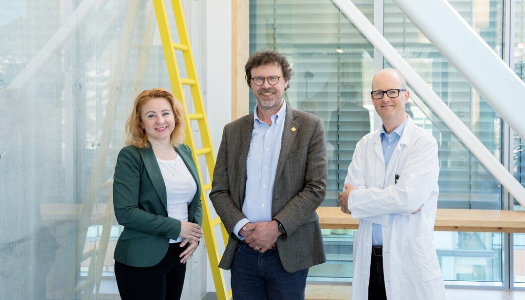 Senterledelsen ved PRESIS-DIA: professor Valeriya Lyssenko, professor Pål R. Njølstad og professor Gunnar Mellgren ved Universitetet i Bergen. Senterledelsen ved PRESIS-DIA: professor Valeriya Lyssenko, professor Pål R. Njølstad og professor Gunnar Mellgren ved Universitetet i Bergen.