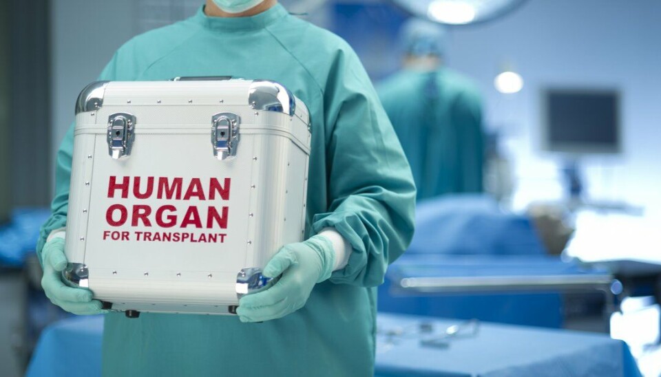 Amerikanske transplantasjonspasienter som får den potensielt dødelig virusinfeksjon cytomegalovirusinfeksjon har nå fått et nytt behandlingsalternativ. - Nå venter vi på at EMA og Beslutningsforum skal godkjenne maribavir slik at vi kan ta den i bruk i Norge, sier overlege og infeksjonsmedisiner Ingvild Nordøy.