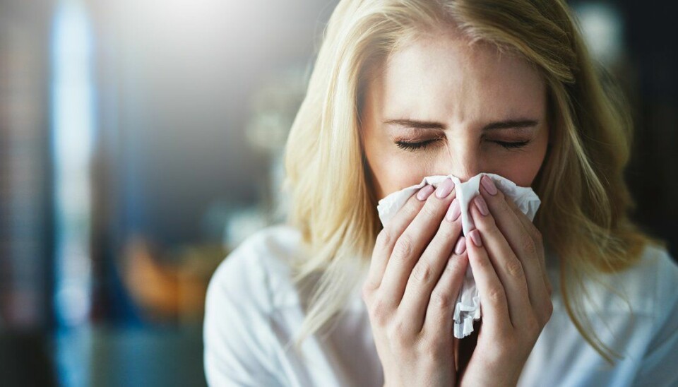Er du forkjølet bør du holde deg hjemme, sier FHI. Personer som har nærkontakt med personer som viser symptomer på forkjølelse, kan fremdeles gå på jobb og trenger ikke gå i karantene.