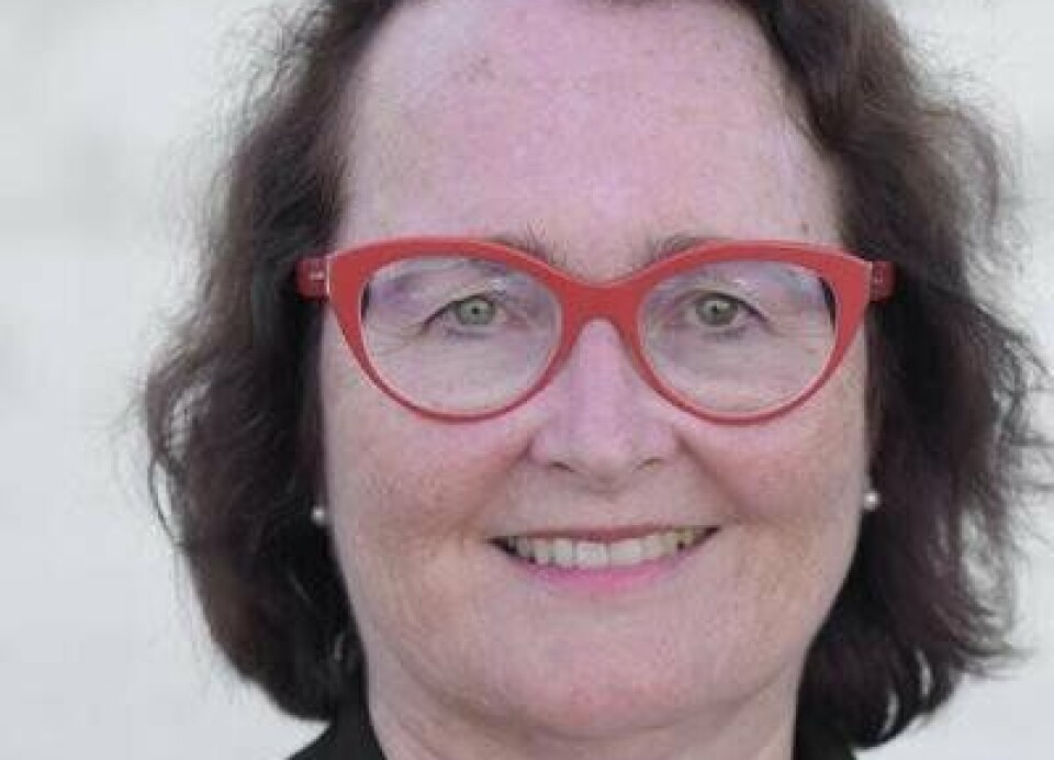 Professor i hjertesykdommmer Eva Gerdts.