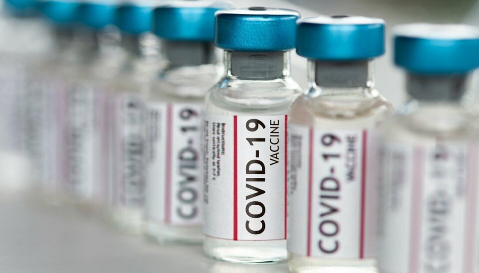 Det danske bioteknologifirmaet Bavarian Nordic er klar til å gå videre med utprøving av sin coronavaksine på mennesker. Nå ser de etter en finansiell partner.