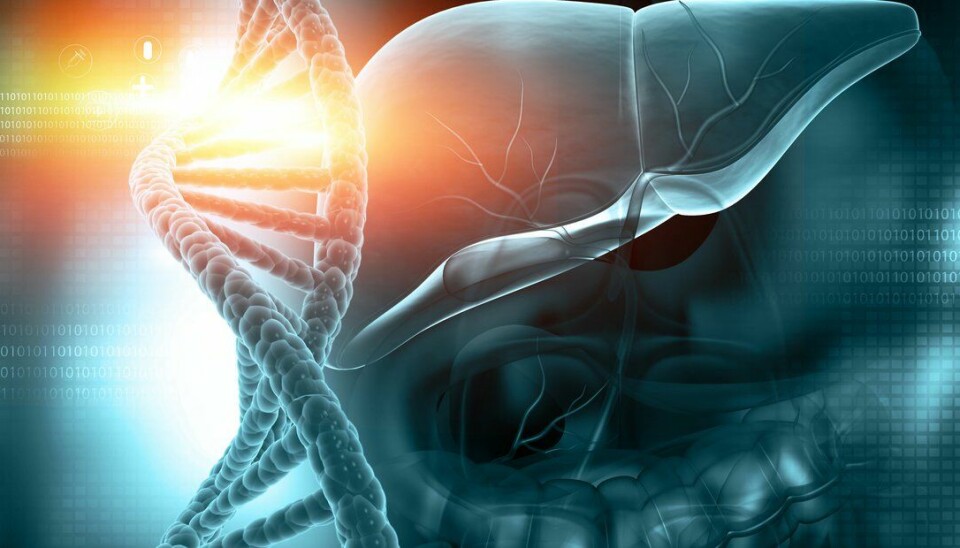 Norske og svenske forskere har oppdaget den første genetiske mutasjonen som forårsaker den kroniske leversykdommen primær skleroserende kolangitt (PSC). Det var en studie av en familie med PSC som førte til oppdagelsen.