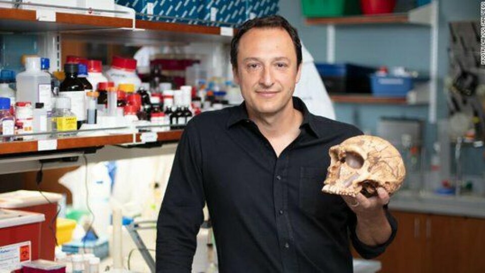 Alysson Muotri, professor ved University of California San Diego School of Medicine, og hans team skapte hjerneorganoider genetisk modifiserte for å bære et gen som tilhørte neandertalerne.