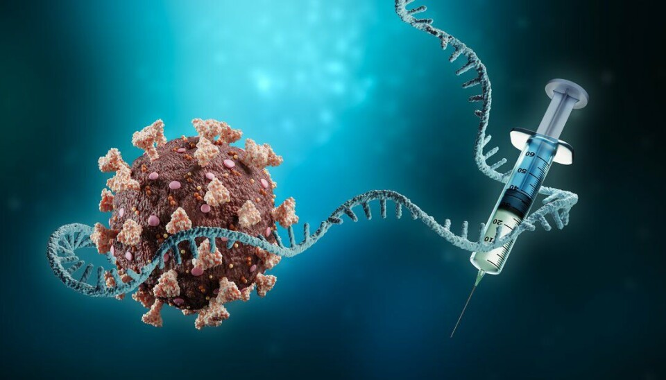 Med mRNA-vaksiner har vaksineforskning - og utvikling tatt et langt skritt fremover.