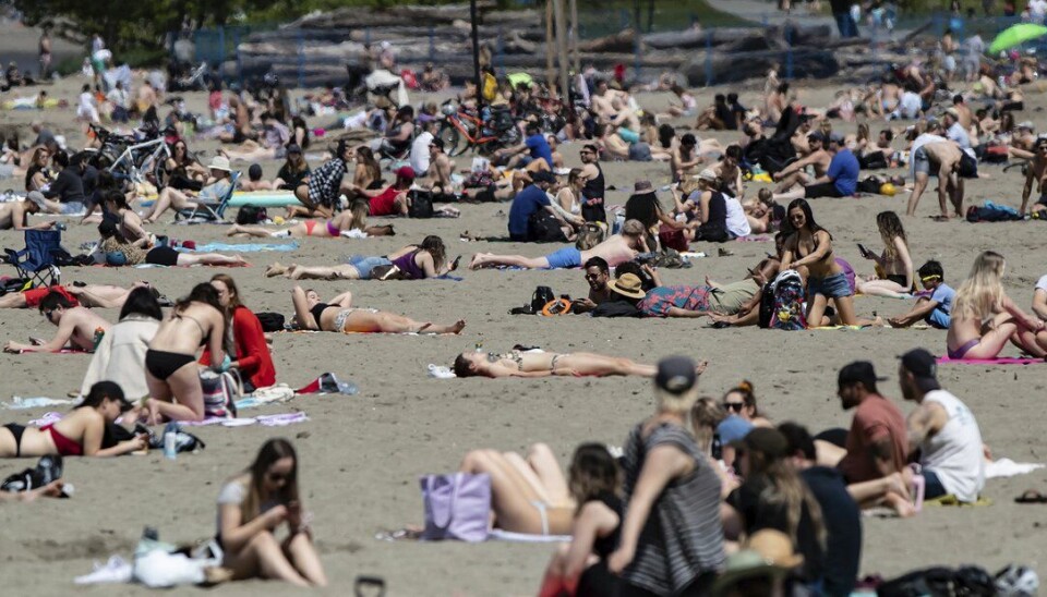 Coronavirus på overflater blir i liten grad svekket av sommervarme, slår forskere ved Harvard-universitetet og Massachusetts Institute of Technology (MIT) i USA fast.