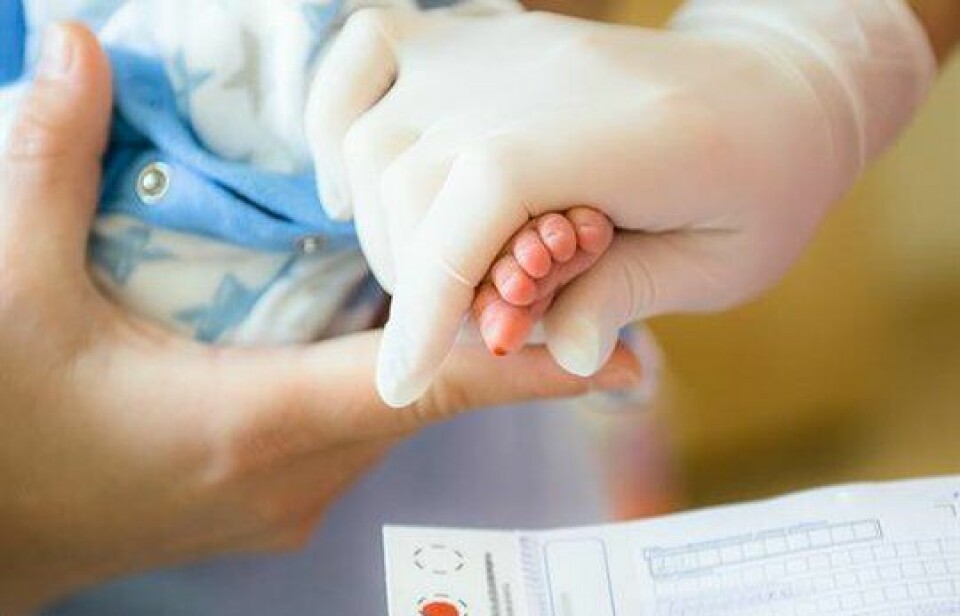 Blodprøve som tas av nyfødt sendes inn til analyse til Nyfødtscreeningen. Ved å gi genterapi tidlig - og helst før det oppstår symptomer - oppnås bedre behandlingseffekt. Foto: Oslo Universitetssykehus