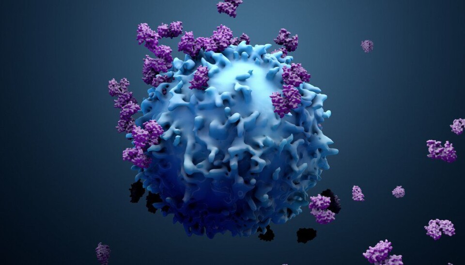 Bruk av immunterapi øker. Mer enn 20 prosent av lungekreftpasienter får immunterapi, viser en rapport fra INSPIRE-prosjektet, som for første gang kartlegger bruken av medikamentell kreftbehandling i Norge.