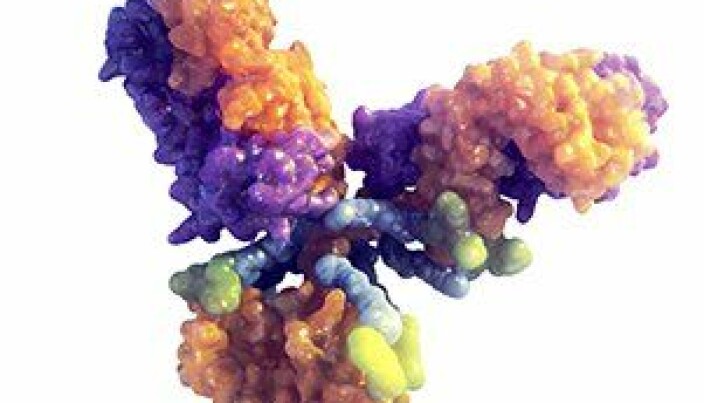 Enhertu (Trastuzumab deruxtecan) er et designet HER2-rettet antistoff-legemiddelkonjugat. På hvert antistoff (trastuzumab) finnes det i gjennomsnitt 8 cellegiftmolekyler (deruxtecan), som her er vist som gule prikker. Enhertu (Trastuzumab deruxtecan) er et designet HER2-rettet antistoff-legemiddelkonjugat. På hvert antistoff (trastuzumab) finnes det i gjennomsnitt 8 cellegiftmolekyler (deruxtecan), som her er vist som gule prikker.