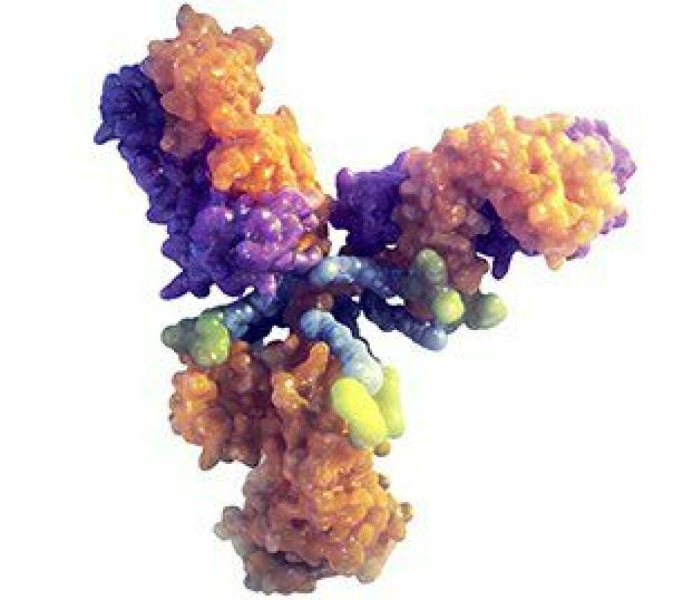 Enhertu (trastuzumab deruxtecan) er et designet HER2-rettet antistofflegemiddelkonjugat. Antistoffet (trastuzumab) transporterer en cellegift (deruxtecan) direkte til kreftcellene. På hvert antistoff (trastuzumab) finnes det i gjennomsnitt 8 cellegiftmolekyler som her er vist med gule prikker.
