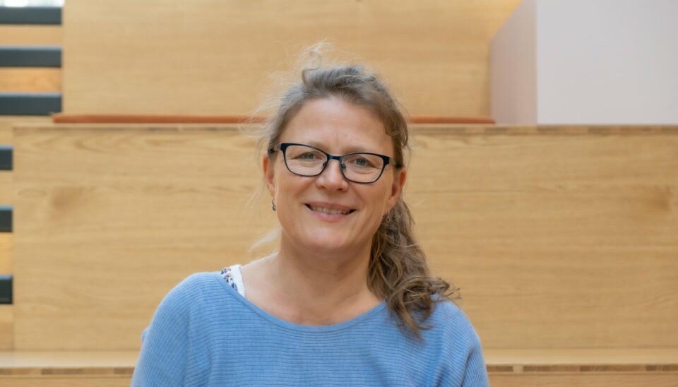 Professor og overlege Åslaug Helland ønsker seg flere pasienter med gynkreft i den banebrytende Impress-studien. Professor og overlege Åslaug Helland ønsker seg flere pasienter med gynkreft i den banebrytende Impress-studien.