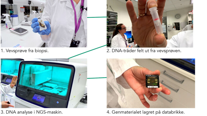 Målet med gensekvensering er å få tilgang til kreftsvulstens genetiske kode og bruke denne informasjonen til å velge det legemidlet som best kan bekjempe kreften. Målet med gensekvensering er å få tilgang til kreftsvulstens genetiske kode og bruke denne informasjonen til å velge det legemidlet som best kan bekjempe kreften.