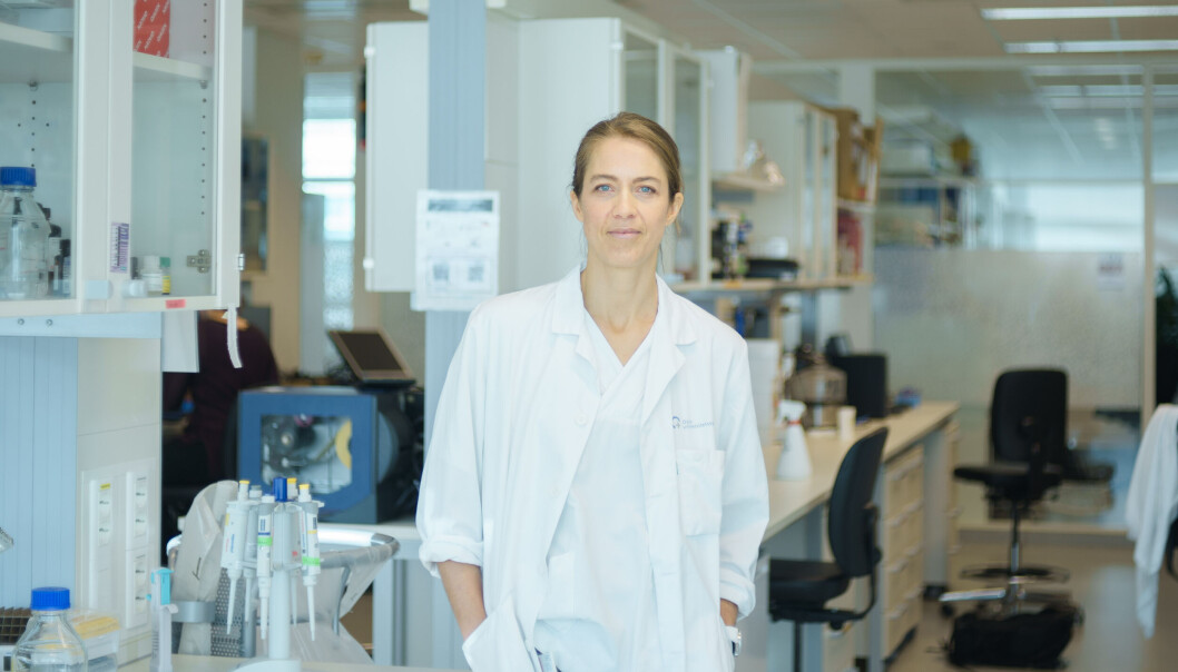 Overlege Vilde Haakensen starter nå en studie for å finne ut om behandling med strålebehandling sammen med immunterapi kan gi flere pasienter med uhelbredelig lungekreft langvarig effekt av immunterapien. Overlege Vilde Haakensen starter nå en studie for å finne ut om behandling med strålebehandling sammen med immunterapi kan gi flere pasienter med uhelbredelig lungekreft langvarig effekt av immunterapien.