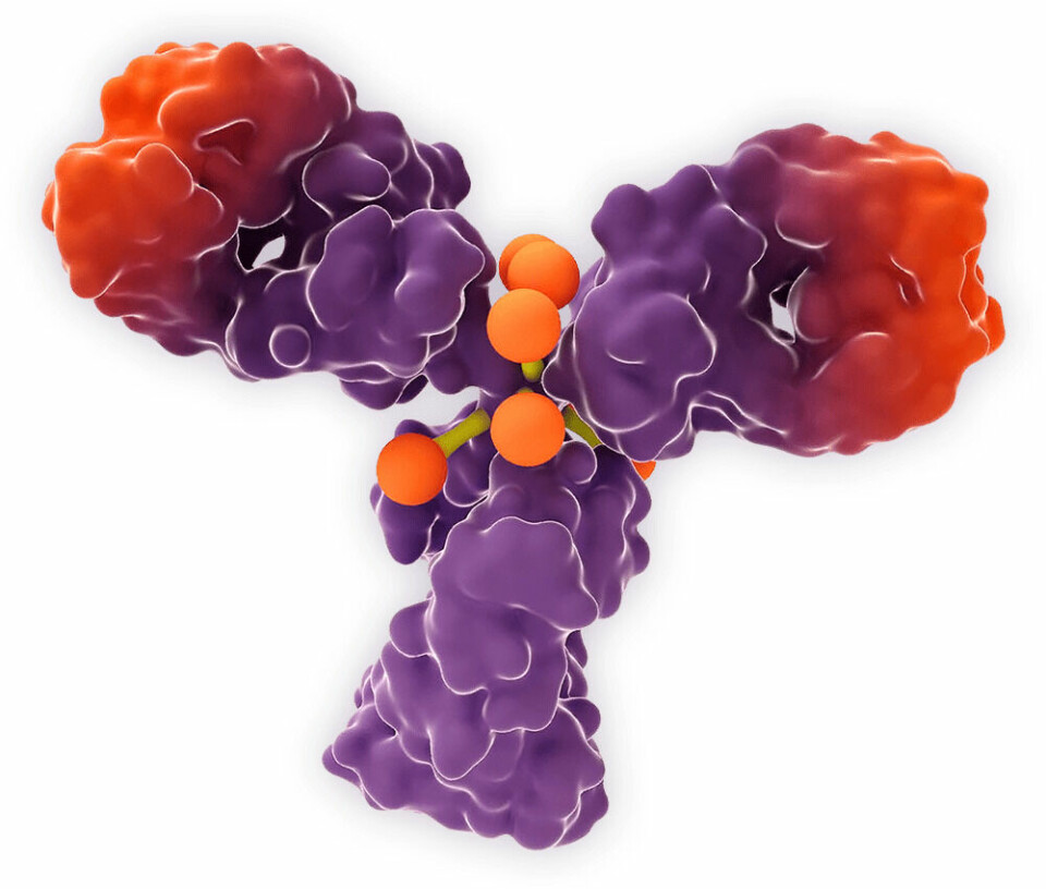 Enhertu (trastuzumab deruxtecan) er et designet HER2-rettet antistofflegemiddelkonjugat. Antistoffet (trastuzumab) transporterer en cellegift (deruxtecan) direkte til kreftcellene. På hvert antistoff finnes det i gjennomsnitt 8 cellegiftmolekyler som her er vist med oransje prikker. Disse frigjøres inne i krefcellene.