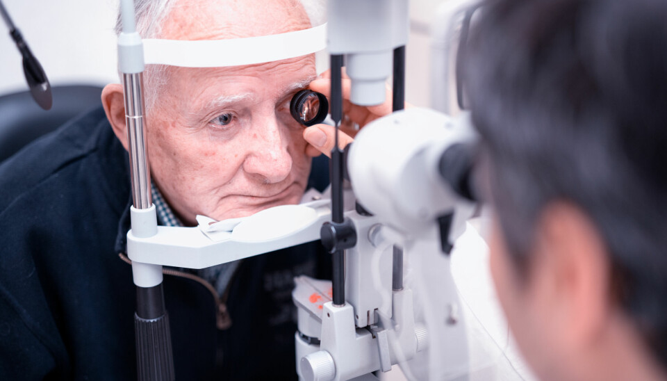 RAMMER 70 MILLIONER: Retinal veneokklusjon, populært kalt blodpropp i øyet, er sammen med våt AMD og diabetisk makulaødem noen av de ledende årsakene til synnstap globalt. Med nye positive fase 3-data kan legemiddelselskapet Roche være på vei mot å bli godkjent behandling av alle tre øyelidelsene.