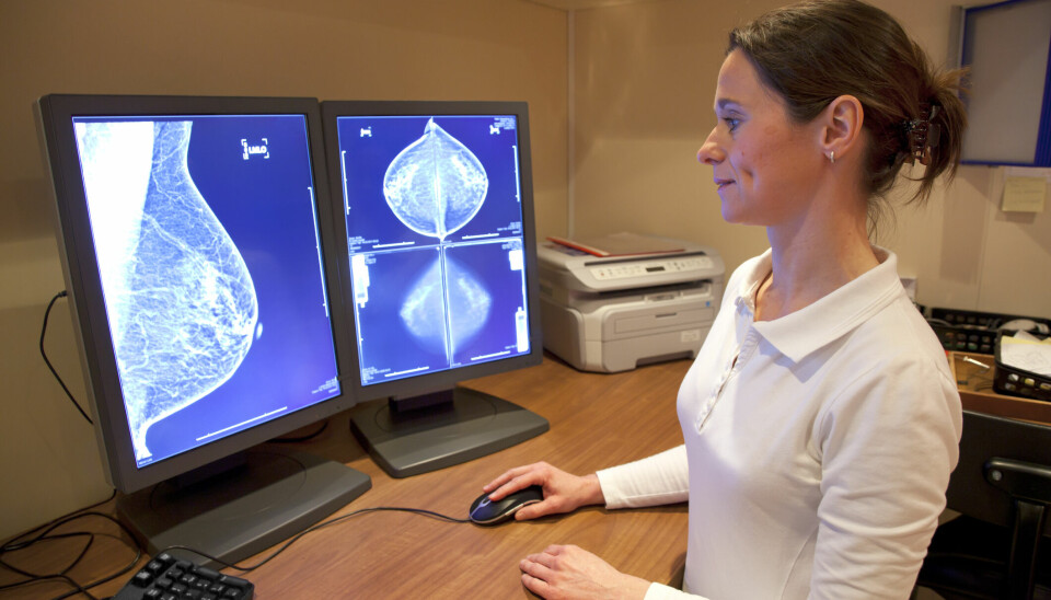 En radiolog vurderer en mamografi