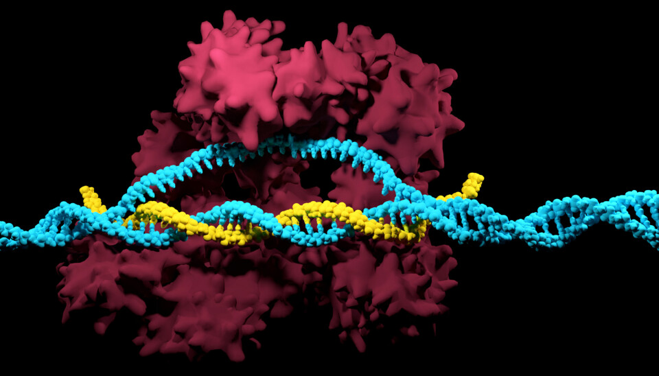 3D-rendering av genredigeringsteknologien CRISPR