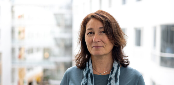 LMI med kraftig kritikk mot HOD: – Ren ansvarsfraskrivelse