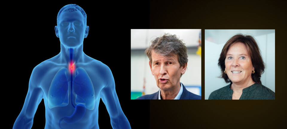 BLE IKKE ENIGE: Immunterapi-kombinasjonen ipilimumab/nivolumab (Yervoy/Opdivo) fikk nei. – Veldig synd for pasientene det gjelder, sier Margaret Brusletto i BMS Norge. – Anses ikke å gi bedre effekt enn de tilgjengelige behandlingene, sier Beslutningsforum-sjef Terje Rootwelt.