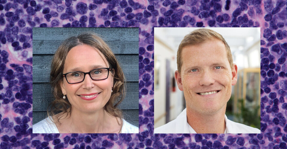 – Det er en økende evidens som taler for at BTK-hemmere kan ha en viktig rolle i førstelinjebehandling, sier St. Olavs-overlege Karin Fahl Wader. – Hvis behandlingen er like god eller bedre enn cellegift og samtidig mer skånsom, kan dette gi stor nytte for pasientene, sier OUS-overlege Jon Riise.