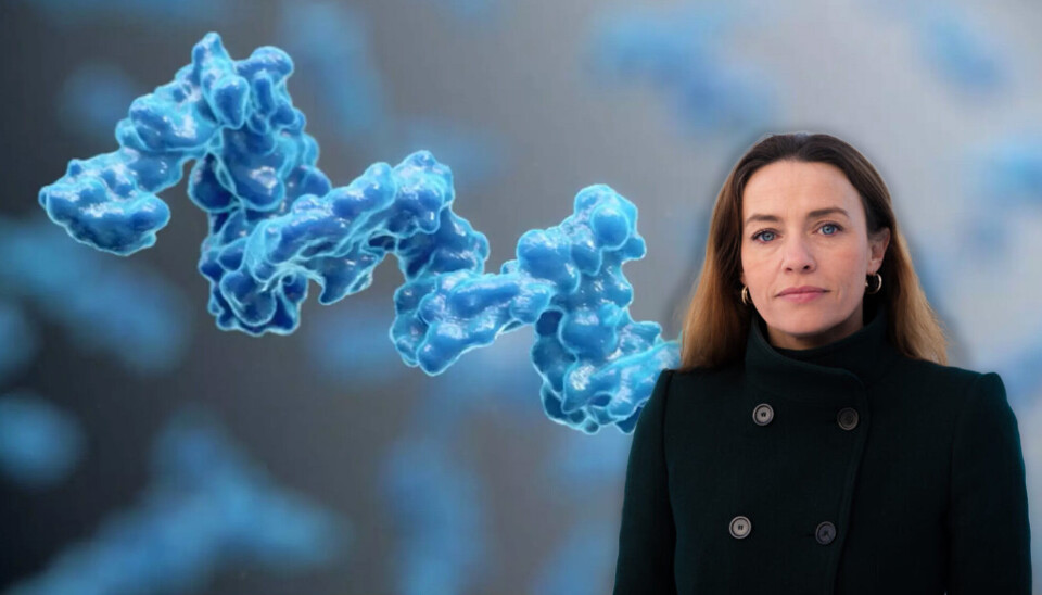 Cytovation står bak oppdagelsen av molekylet CyPep-1, som hjelper kroppens immunforsvar med å angripe kreftsvulster. Nå investerer Kreftforeningen, med generalsekretær Ingrid Stenstadvold Ross i spissen, 50 millioner kroner for å teste CY-101 på pasienter med binyrekreft.