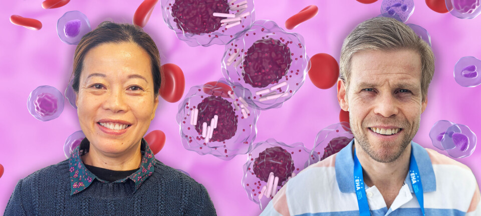 Blodkreft-leger håper KLL-ja kan åpne for nye medisiner i fremtiden