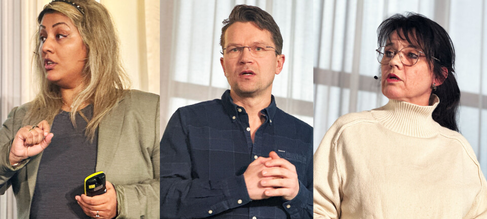 – Vi kunne fjernet skatt på arbeid for alle med inntekt under én million kroner