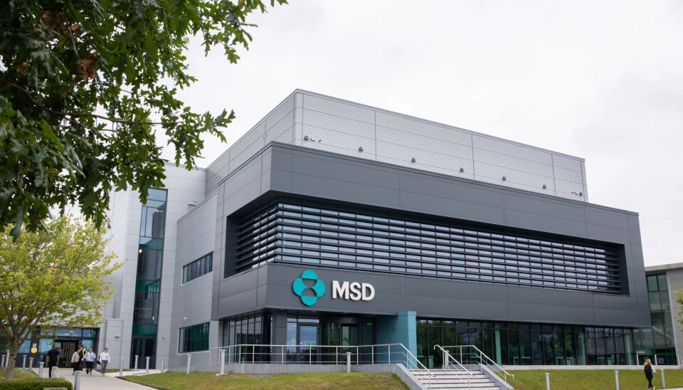 Legemiddelgiganten MSD vil kutte om lag 6000 stillinger, tilsvarende rundt åtte prosent av arbeidsstyrken. Bildet er fra hovedkontoret i Irland hvor storselgeren Keytruda produseres