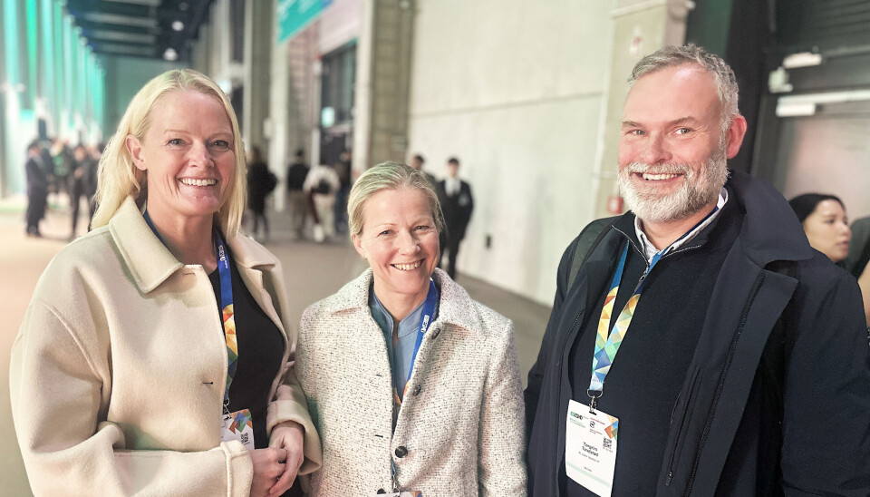 NORSK URO-DELTAKELSE: Fra venstre: Maria Nyre Vigmostad (Stavanger universitetssjukehus), Bjørg Aksnessæther (Ålesund) og Torgrim Tandstad (St. Olavs hospital).